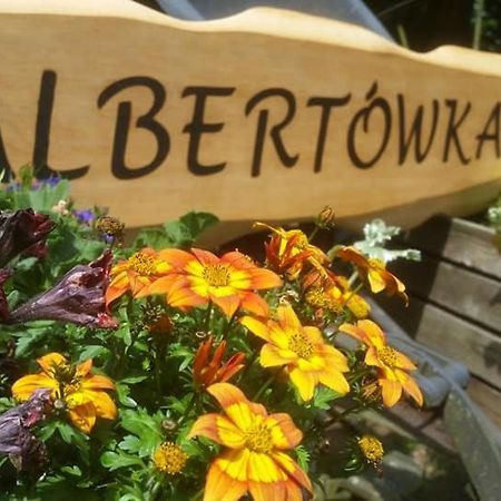 Albertowka Тшцель Екстер'єр фото