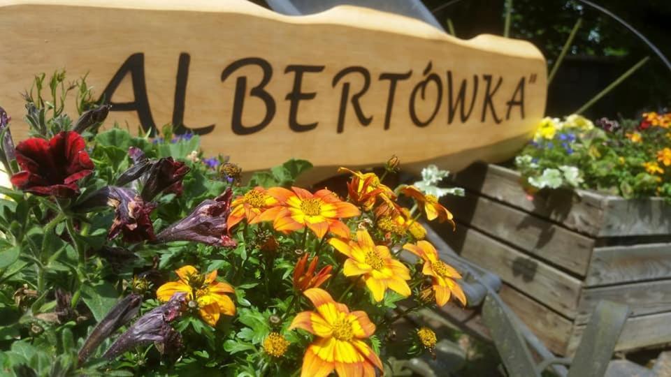 Albertowka Тшцель Екстер'єр фото
